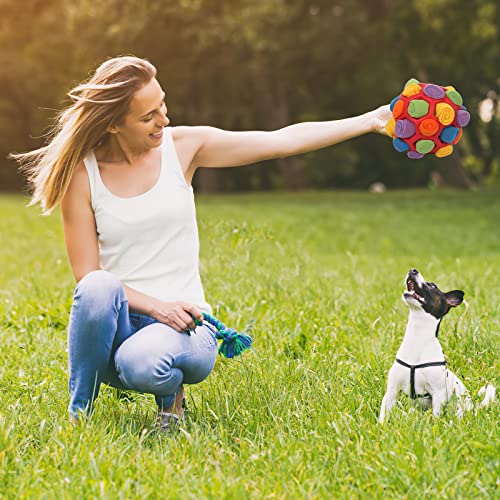 Palla da fiuto per cani, Giocattolo da Annusare