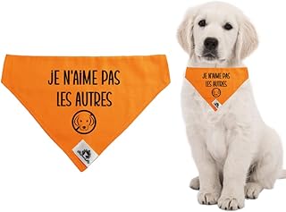 Foulard Bandana pour chien réactif (ou kit avec manchon de laisse) JE N'AIME PAS LES AUTRES CHIENS se glisse sur le collier 3 grandeurs disponibles (Manchon et foulard (GRAND) Je n'aime pas...)