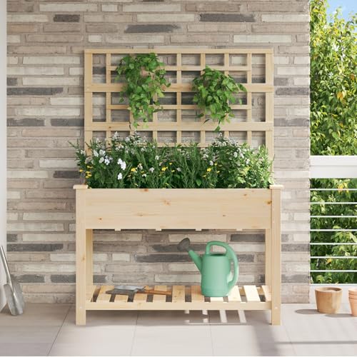 Brokky 42006571 Garden Planter with Trellis&Shelf 115x59x152 cm Solid Wood Fir Wooden Standing Side Cabinet Unit for Living Room Kitchen Hallway