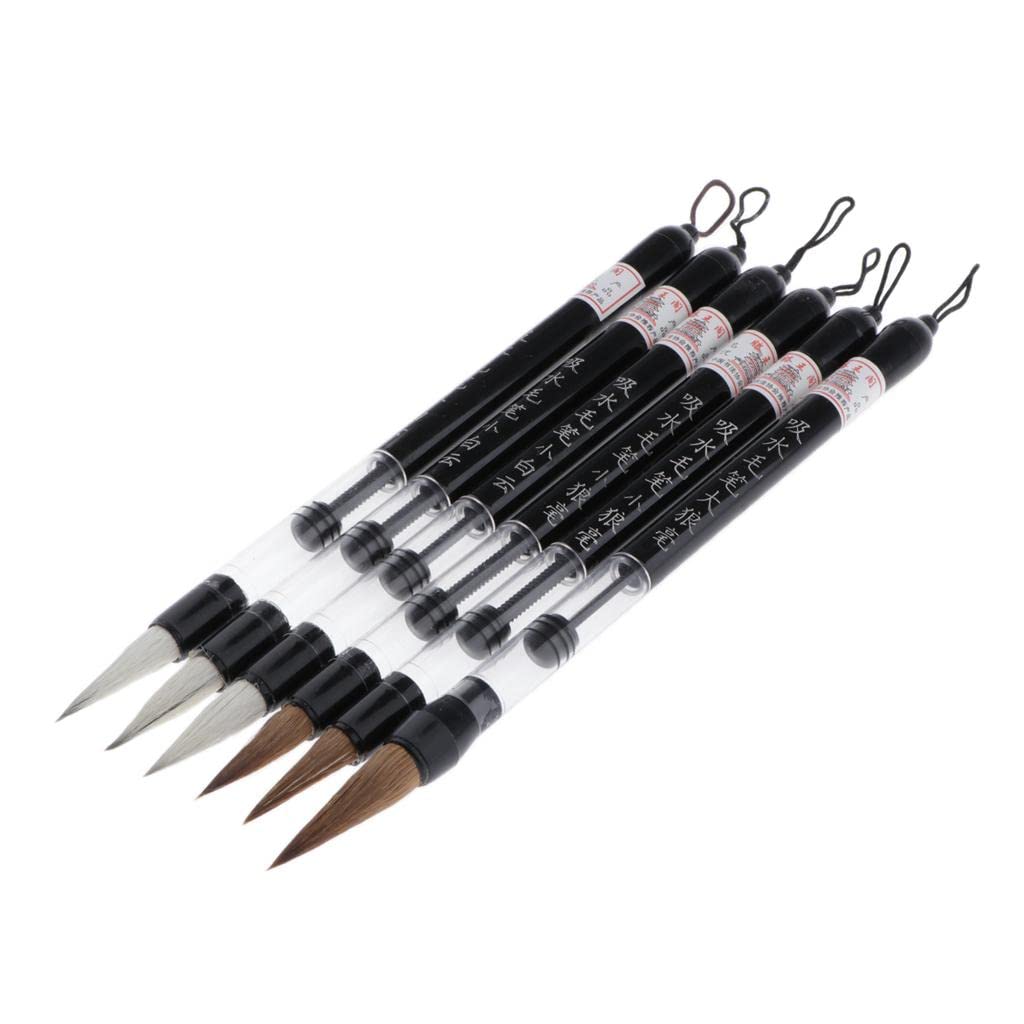 Enakshi 6pcs Chinese Piston Water Ink Brush Calligraphy Drawing Chinese Brushes-image-16