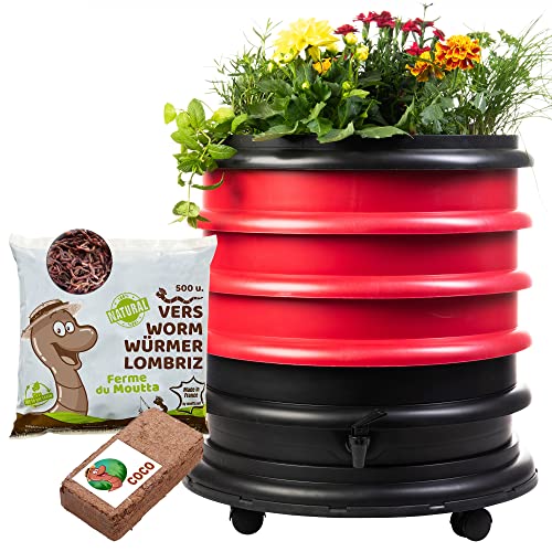 WORMbox | Wurmkomposter Wurmfarm Wurmkiste mit 3 Schalen Rot + Pflanzgefäß + 250g Kompostwürmer / 500 STK + 1 Coco | 48 Liter | Regenwurmkomposter, Kompostwürmer produzieren Wurmhumus