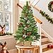 Timer - 3 ft Artificial Small Christmas Tree with 50 Warm White Lights, Mini Table top Christmas Tree, Battery Operated 100 Thick Branches Pinecones Red Berries Burlap Base Xmas Desk, Home Decor