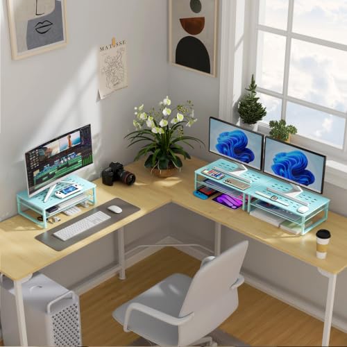 Image of gianotter 2-Tier Metal Monitor Stand Riser