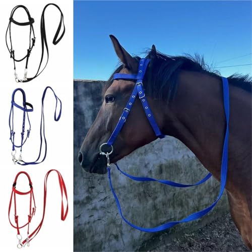 Licol pour chevaux confortable au paddock et à l'entraînement