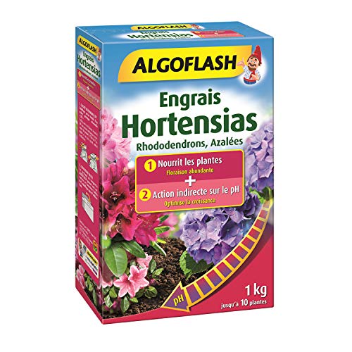 ALGOFLASH HORTOPH1 Hydrangea, Rhododendrons, Azalea Special Fertiliser pH - 1 kg, Not Applicable