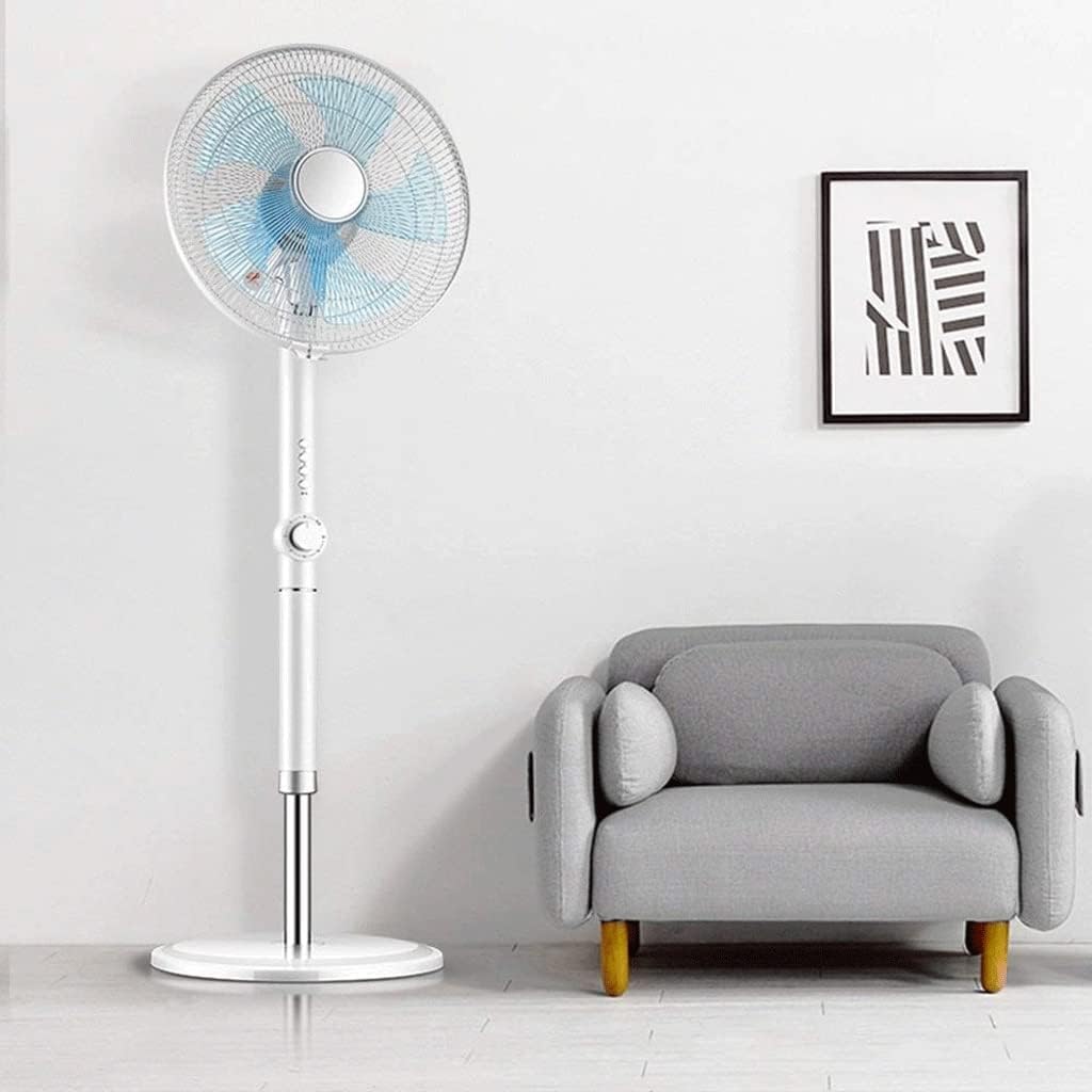 Pedestal Floor Fan for Whole-Room Cooling, 3-Mode &3-Speed, Black(Onecolor)