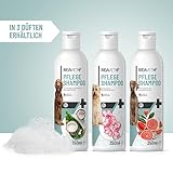 ReaVET Hundeshampoo mit Grapefruit 250ml - Pflegeshampoo Kokos für Hunde, Vitale Haut, Fellglanz, Kämmbarkeit, Shampoo Hund, natürliche Inhaltsstoffe