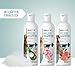 ReaVET Hundeshampoo mit Grapefruit 250ml - Pflegeshampoo Kokos für Hunde, Vitale Haut, Fellglanz, Kämmbarkeit, Shampoo Hund, natürliche Inhaltsstoffe