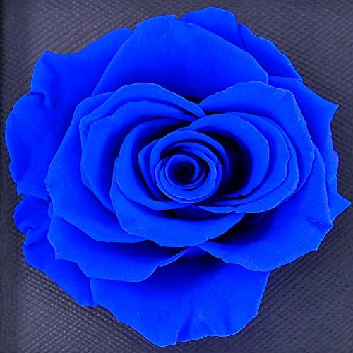 MINCHEDA Eternal Rose Gift for Women, Preserved Rose with Necklace, Real Flower Jewelry Gifts for Valentines' Day, Mother's Day, Birthday, Anniversary