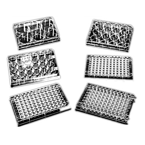 Evergreen Scientifics 3338094W1R White Polystyrene Microplate with