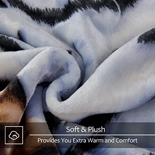 Image of JYK Korean Mink Fleece Blanket Queen Size 75 inchx 87 inch, 5 LB - 2 Ply Reversible 520GSM Silky Soft Plush Warm Flannel Blanket for Fall Winter (Queen, Tiger /Leopard)