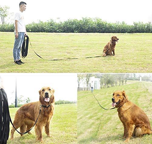 Trainingsleine für Hunde, 5 m, 10 m, 20 m, 30 m, lange Hundeleine, freihändige Hundeleine für kleine, mittelgroße und große Hunde (30 m)