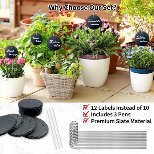 12PCS Natural Slate Plant Labels with Stainless Steel Stakes,3.94 x 3.94inch Garden Plant Markers Reusable Stone Tags with Weatherproof Pencil for Outdoor Plants, Vegetables, Seed Trays, Potting by Pomarks - Used condition - Image 9