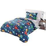 100% Cotton 2 Piece Kids Quilt Bedspread Comforter Set Throw Blanket for Teens Boys Girls Kids Beds