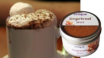 Gingerbread Spice Mix First-Class Holiday Flavor 1.5 oz Tin Can | Unique Flavors