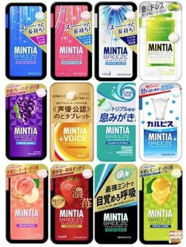 �u���[�Y BREEZE �S12�� �l�ߍ��킹 360�� ��e��