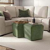 Furniture of America Lennox Modern Chenille 17-inch Square Storage Ottoman with Reversible Tray Top, Upholstered Footstool for Living Room, Bedroom, Entryway, Green