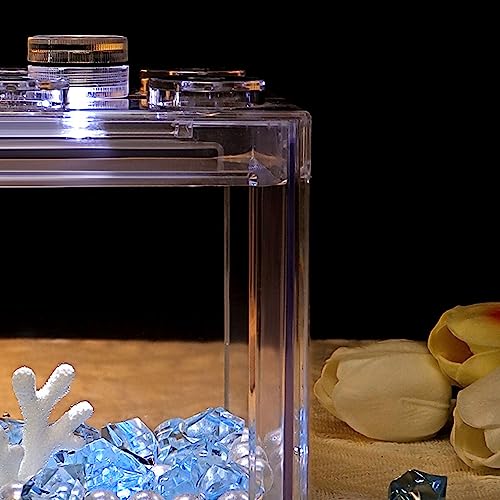 Aquarium en acrylique transparent anti-chute petit bocal poisson de bureau - 4