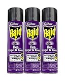 Raid Flea Killer Carpet and Room Spray 16 Ounce (Pack of 3)