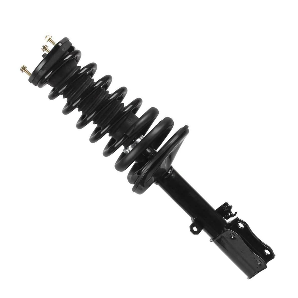 Amazon.com: AutoShack Rear Complete Strut Coil Spring Passenger 
