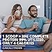 FundAminos EAA + BCAA Amino Acid Powder | Organic, Vegan, Plant-Based | Complete Essential Aminos for Everyday Nutrition | Optimized Protein Utilization | Refreshing Superfruits Blend - 60 Servings