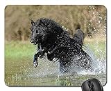 ❤Eigenschaft: Weiches Oberflächenmaterial ermöglicht unverdünntes Gleiten der Maus .; Es ist eine gute Wahl für Ihre Freunde und Familien, um ungehindert mit der Maus arbeiten zu können.