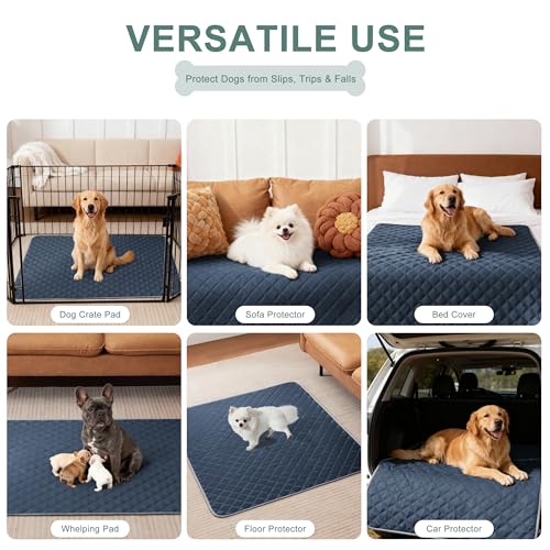 Image of Eterish Reusable Washable Pee Pads for Dogs Large /Extra Large 36'' x 41'' 2 Pack, Absorbent Pet Puppy Dog Training Pads Non-Slip, Waterproof Whelping Potty Pads for Dogs Leak-Proof