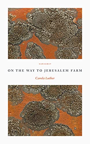 On the Way to Jerusalem Farm (English Edition)