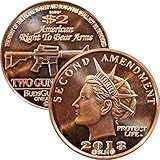 Jig Pro Shop Second Amendment Liberty Gun Dollar Series 1 oz .999 Pure Copper Round/Challenge Coin (2013 AR-15 Rifle)
