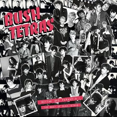 Rhythm and Paranoia: The Best of Bush Tetras