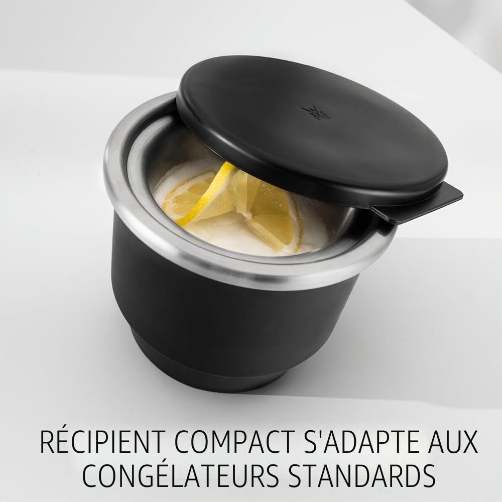 WMF 416450011 0416450011 Machine à Glace 3 en 1, 12 W, Cromo