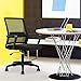 BestOffice Desk Chair for Office which is Ergonomically Made with Cushion, Armrest & Lumbar Support, Nylon (Black)
