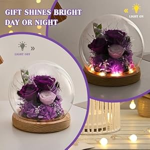 Gifts for Women, Flowers Delivery Prime, Roses in Glass Dome with LED Light - Gifts for Her Mom Roses Gifts for Wife Best Friend Grandma Gifts for Women Flowers Delivery Prime Roses in Glass Dome with LED Light Gifts for Her Mom Roses Gifts for Wife Best Friend Grandma