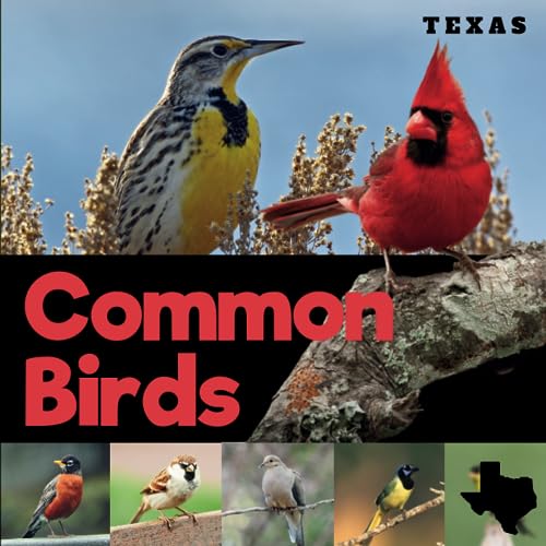 Common Birds of Texas: A Beginner-Friendly Picture Guide Book for Birdwatching and Identification