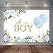 Joliaco Oh Boy Baby Shower Backdrop Watercolor Blue Floral Baby Shower Background Botanical Eucalyptus Blue Balloon Baby Shower Party Decorations Banner Photo Booth Props (7x5ft)