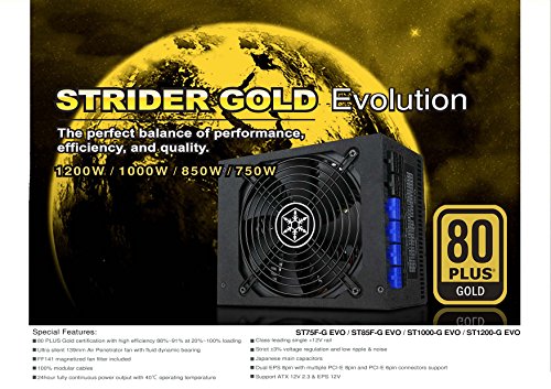 Silverstone Evolution 1200W - Alimentatore - Immagine 21
