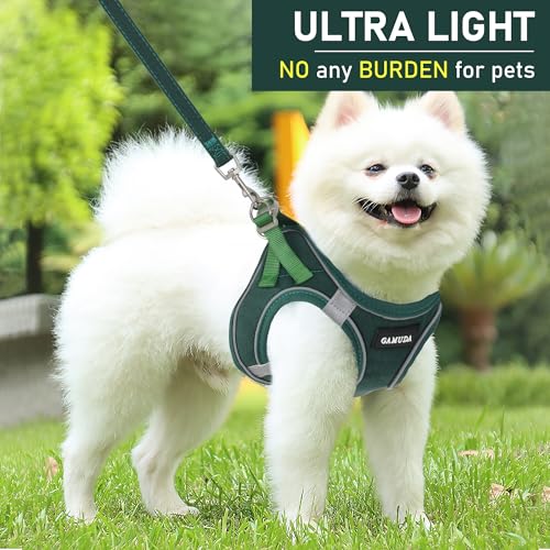 GAMUDA Small Pet Harness Collar and Leash Set, Step in No Chock No Pull Linen Fabric Soft Mesh Dog Vest Harnesses Reflective for Dogs Puppy Cats Kitten Rabbit (Green, S)