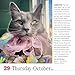 365 Cats Page-A-Day® Calendar 2026: The World's Favorite Cat Calendar