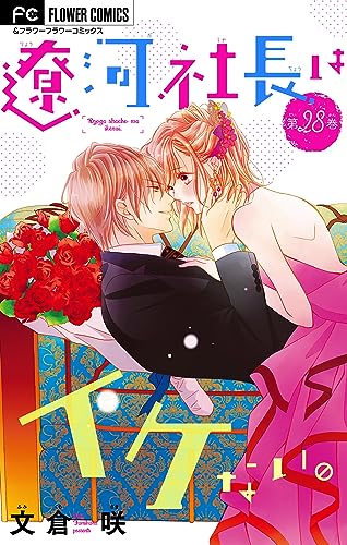 遼河社長はイケない。【マイクロ】(28) (フラワーコミックス)