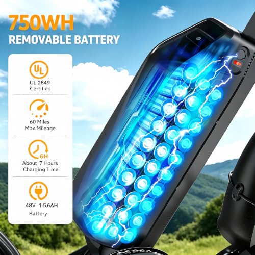1000W Full Suspension E-Bike