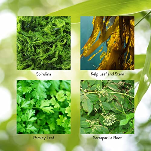 Nature's Sunshine Thyroid Activator 100 Capsules #TOP4