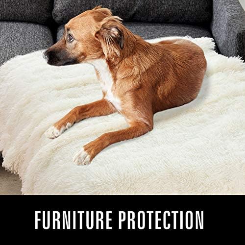 Do Dogs Like To Be Covered With Blankets