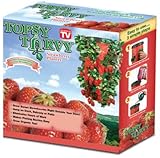 Felknor Ventures TT041112 Topsy Turvy Strawberry Planter (Pack of 12)