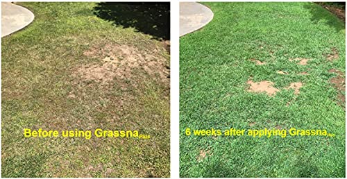 Grassna Plus Fertilizer 19-9-7, All Purpose, Improves Your Lawn, Turf, And Garden Growth And Vigor (0.5 Gallon) #TOP3