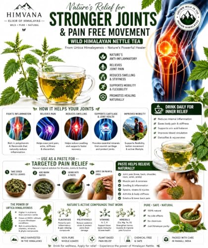Image of Wild Himalayan Nettle Slimming Tea. Rare Herb Urtica Himalayensis. Visible Whole Leaves Premium Herbal Tea. Rich and Velvety Taste. Rich in Antioxidants, Vitamins & Minerals. Traditionally used for Pain Relief, Detox as well in Himalayan Food Recipes. Grows only in High Altitude in Himalayas (30 Gm, Starter Pack)