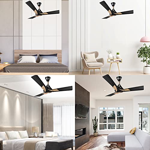 Image of Orient Electric Wendy Ceiling Fan Metallic Black - Gold 48 inch 1200mm (Pack of 2)