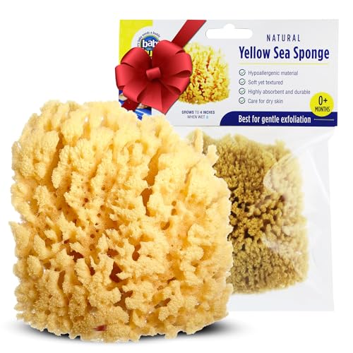 Image of Baby Buddy Natural Yellow Sea Sponge, Newborn Bath Time Essential, Soft and Gentle for Tender Skin, Hypoallergenic and Biodegradable, 1 Pack