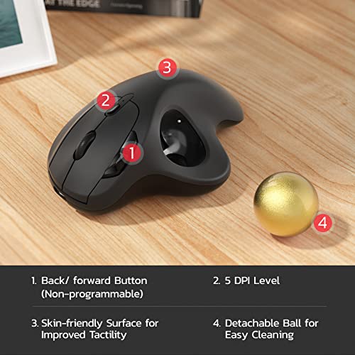 Image of Nulea M501 Wireless Trackball Mouse, Rechargeable Ergonomic, Easy Thumb Control, Precise & Smooth Tracking, 3 Device Connection (Bluetooth or USB Receiver), Compatible for PC, Laptop, Mac, Windows.