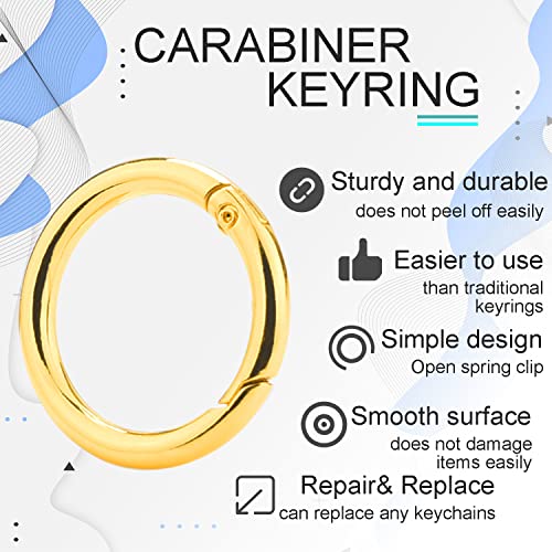 Image of 10 Pack 1 Inch Gold Spring O Rings, Metal Keychain Ring Round Carabiner Clips for Replacement Purse Ring Hardware, Keyrings Buckles, Paracord Keychain Lanyard, Home Car Keyrings Attachment