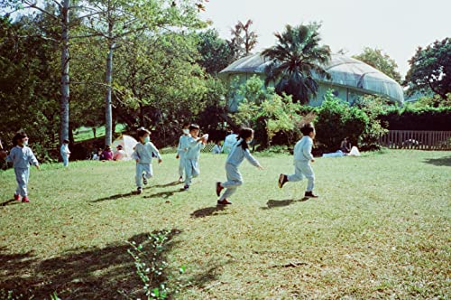 Amber D400 Color Negative, 27Exp, Iso400, 35Mm Cine Film #TOP2